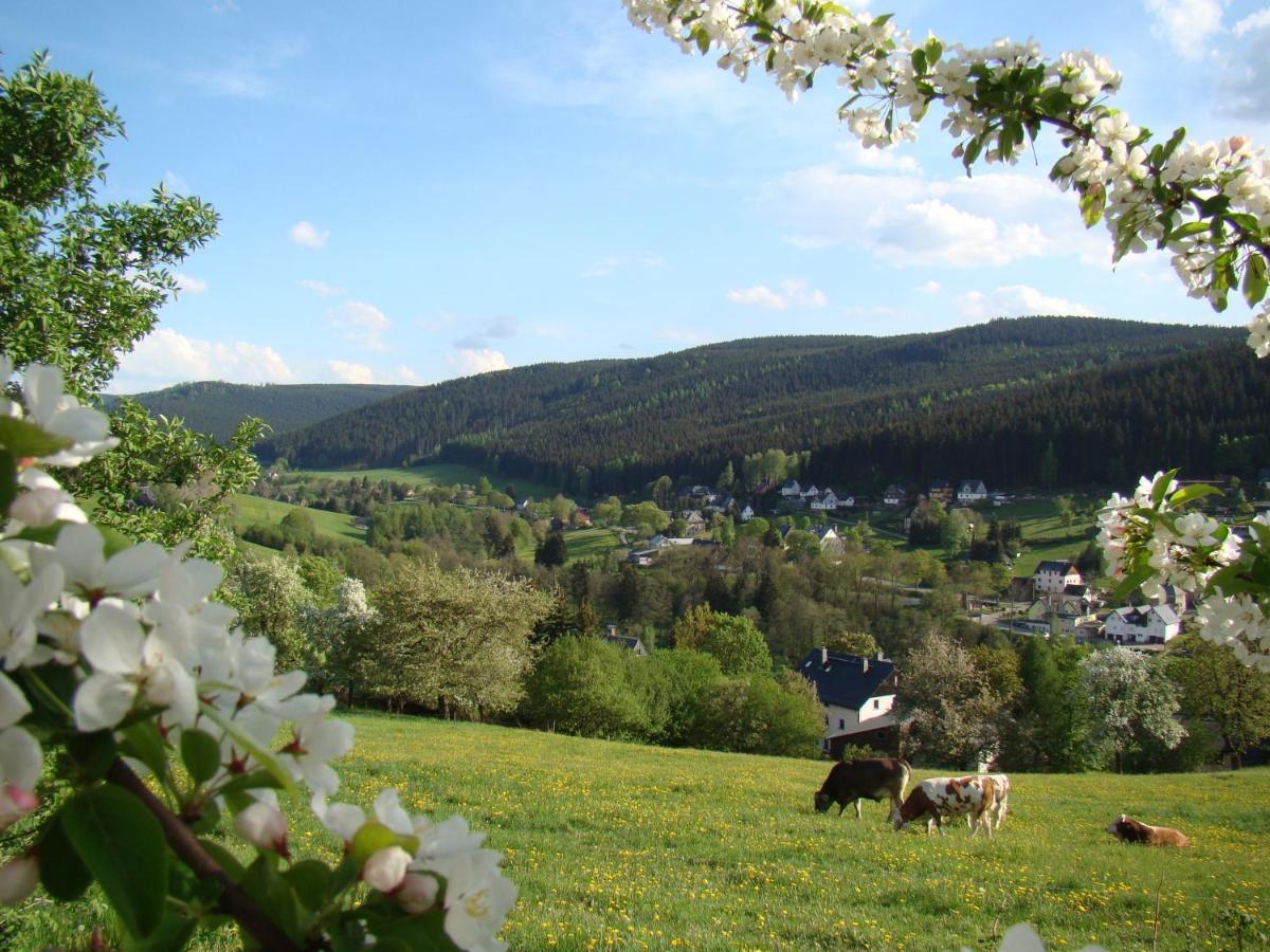 Ferienwohnung Lang Breitenbrunn  Luaran gambar
